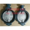 现货供应德国依博罗蝶阀Z011-A DN350规格齐全